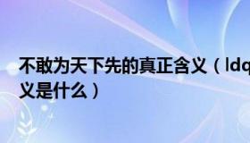 不敢为天下先的真正含义（ldquo 敢为天下先 rdquo 的含义是什么）