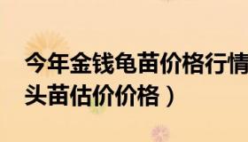 今年金钱龟苗价格行情（2019年石金钱龟苗头苗估价价格）