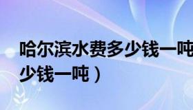 哈尔滨水费多少钱一吨2022（哈尔滨水费多少钱一吨）