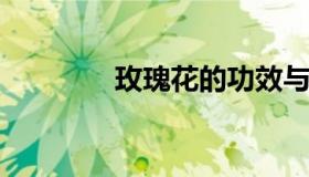 玫瑰花的功效与作用是什么