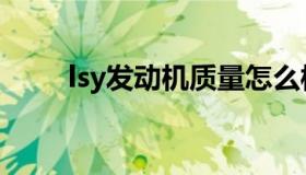 lsy发动机质量怎么样（lsy发动机）