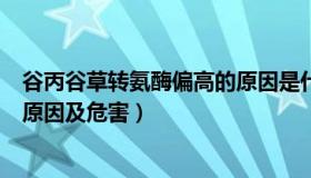 谷丙谷草转氨酶偏高的原因是什么（谷丙谷草转氨酶偏高的原因及危害）