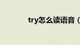 try怎么读语音（try怎么读）