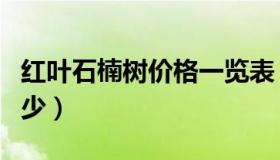 红叶石楠树价格一览表（红叶石楠树价格是多少）