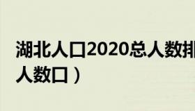 湖北人口2020总人数排名（湖北人口2020总人数口）