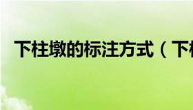 下柱墩的标注方式（下柱墩的标注怎么看）