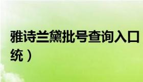 雅诗兰黛批号查询入口（雅诗兰黛批号查询系统）