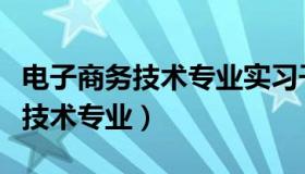 电子商务技术专业实习干什么岗位（电子商务技术专业）