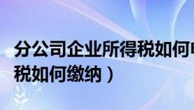 分公司企业所得税如何申报（分公司企业所得税如何缴纳）