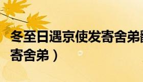 冬至日遇京使发寄舍弟翻译（冬至日遇京使发寄舍弟）