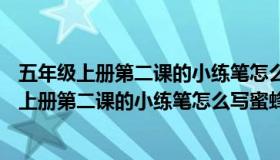 五年级上册第二课的小练笔怎么写蜜蜂 400字作文（五年级上册第二课的小练笔怎么写蜜蜂 400字）