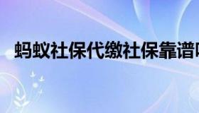 蚂蚁社保代缴社保靠谱吗（蚂蚁社保代缴）