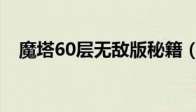 魔塔60层无敌版秘籍（魔塔60层无敌版）