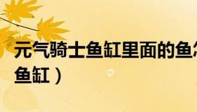 元气骑士鱼缸里面的鱼怎么拿出来（元气骑士鱼缸）