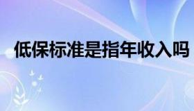 低保标准是指年收入吗（低保标准是多少）