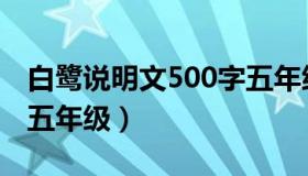 白鹭说明文500字五年级（白鹭说明文500字五年级）