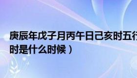 庚辰年戊子月丙午日己亥时五行（庚辰年戊子月丙午日己亥时是什么时候）