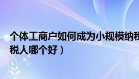 个体工商户如何成为小规模纳税人（个体工商户和小规模纳税人哪个好）