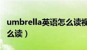 umbrella英语怎么读视频（umbrella英语怎么读）