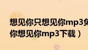 想见你只想见你mp3免费下载（想见你想见你想见你mp3下载）