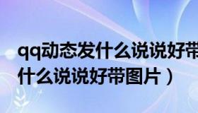 qq动态发什么说说好带图片搞笑（qq动态发什么说说好带图片）