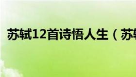 苏轼12首诗悟人生（苏轼最有名的诗20首）