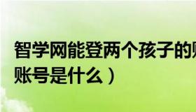 智学网能登两个孩子的账号吗（智学网的孩子账号是什么）