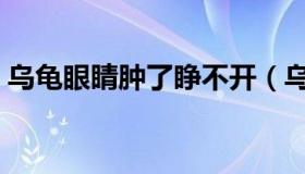 乌龟眼睛肿了睁不开（乌龟眼睛肿了睁不开）