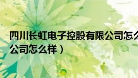 四川长虹电子控股有限公司怎么样（四川长虹电子系统有限公司怎么样）