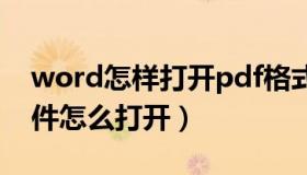 word怎样打开pdf格式文件（PDF格式的文件怎么打开）