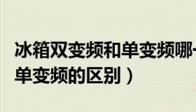 冰箱双变频和单变频哪一个好（冰箱双变频和单变频的区别）