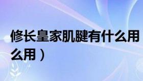 修长皇家肌腱有什么用（修长的皇家肌腱有什么用）