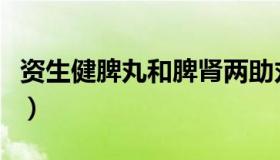 资生健脾丸和脾肾两助丸的区别（资生健脾丸）