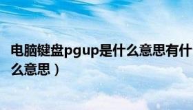 电脑键盘pgup是什么意思有什么功能（计算机中的pgup什么意思）