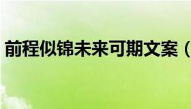 前程似锦未来可期文案（前程似锦未来可期）