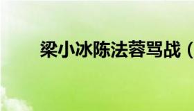 梁小冰陈法蓉骂战（梁小冰陈法蓉）