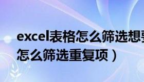 excel表格怎么筛选想要的东西（excel表格怎么筛选重复项）