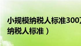 小规模纳税人标准300万还是500万（小规模纳税人标准）