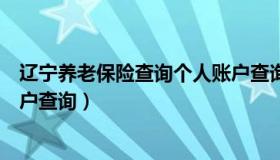 辽宁养老保险查询个人账户查询（辽宁养老保险查询个人账户查询）