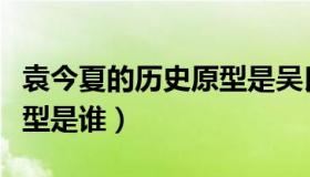 袁今夏的历史原型是吴氏吗（袁今夏的历史原型是谁）