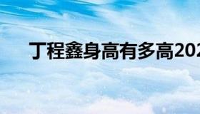 丁程鑫身高有多高2021（丁程鑫身高）