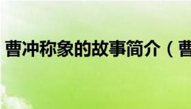 曹冲称象的故事简介（曹冲称象的故事内容）