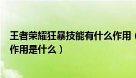 王者荣耀狂暴技能有什么作用（王者荣耀召唤师技能狂暴的作用是什么）