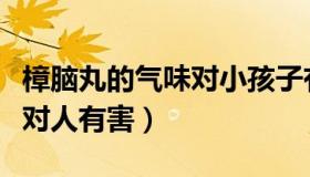 樟脑丸的气味对小孩子有毒吗（樟脑丸的气味对人有害）