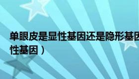 单眼皮是显性基因还是隐形基因（单眼皮是显性基因还是隐性基因）