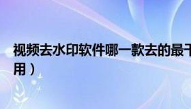 视频去水印软件哪一款去的最干净（视频去水印软件哪个好用）