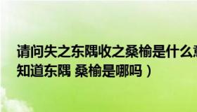 请问失之东隅收之桑榆是什么意思（失之东隅 收之桑榆 你知道东隅 桑榆是哪吗）