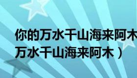 你的万水千山海来阿木无损mp3下载（你的万水千山海来阿木）