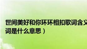 世间美好和你环环相扣歌词含义（世间美好与你环环相扣 歌词是什么意思）