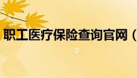 职工医疗保险查询官网（职工医疗保险查询）